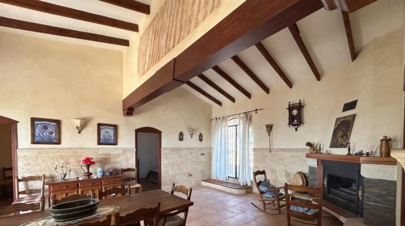 Alicante - Dolores - 16000m2