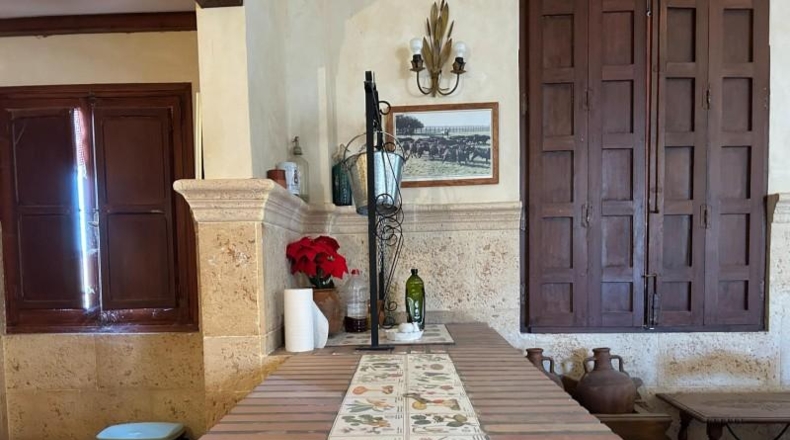 Alicante - Dolores - 16000m2