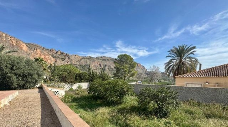 Alicante - Oriola - 1600m2