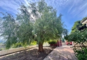 Casa de camp amb terreny en venda a la España, Oriola, ref.: TR355022 foto