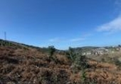 Terreny no urbanitzable en venda a la España, Sopelana, ref.: TR382157 foto