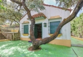 Xalet independent amb terreny en venda a la España, Guillena, ref.: TR281966 foto