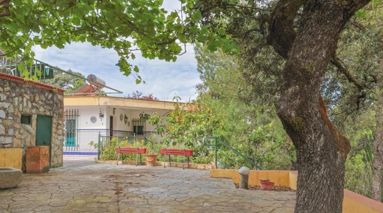Sevilla - Guillena - 1860m2