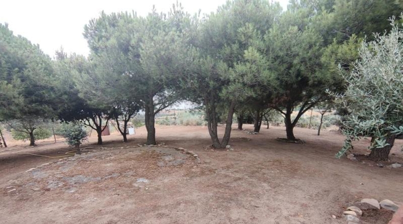Comunidad de Madrid - El Vellón - 6727m2