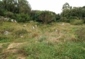 Land suitable for development for sale on España, Concha, ref: TR120098 photo
