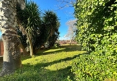 Casa de campo con terreno en venta en la España, Encinarejo de Córdoba, ref: TR142868 foto