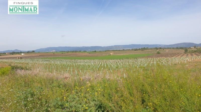 Tarragona - Renau - 80000m2