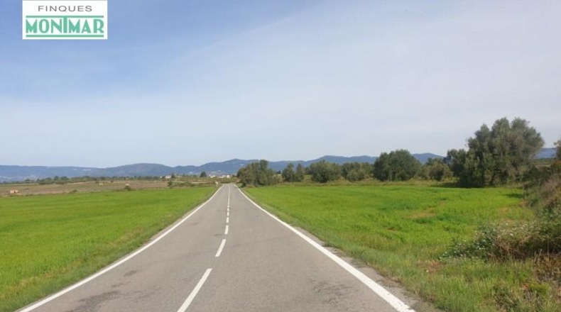 Tarragona - Renau - 80000m2