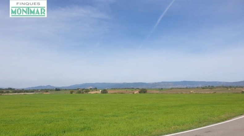 Tarragona - Renau - 80000m2