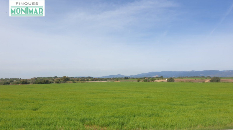 Tarragona - Renau - 80000m2