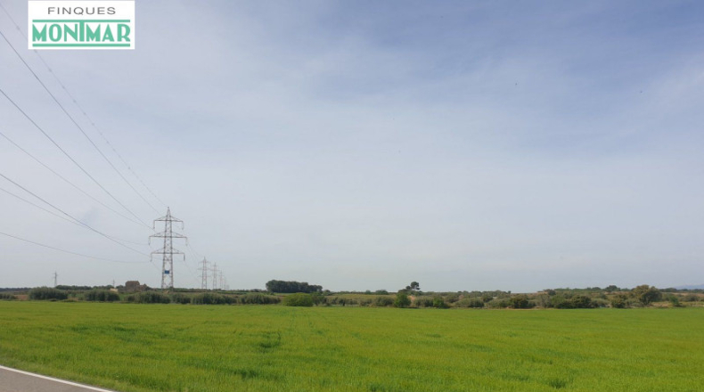 Tarragona - Renau - 80000m2