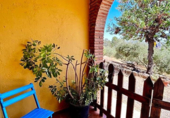 Xalet independent amb terreny en venda a la España, Cantillana, ref.: TR139981 foto
