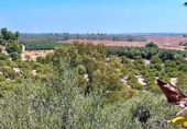 Xalet independent amb terreny en venda a la España, Cantillana, ref.: TR139981 foto