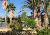 Parcela urbanizable en venta en la España, Vandellòs, ref: TR119199 foto