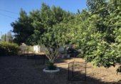 Parcela urbanizable en venta en la España, Vandellòs, ref: TR119199 foto