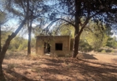 Xalet independent amb terreny en venda a la España, Tibi, ref.: TR137418 foto