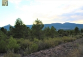 Xalet independent amb terreny en venda a la España, Tibi, ref.: TR137418 foto