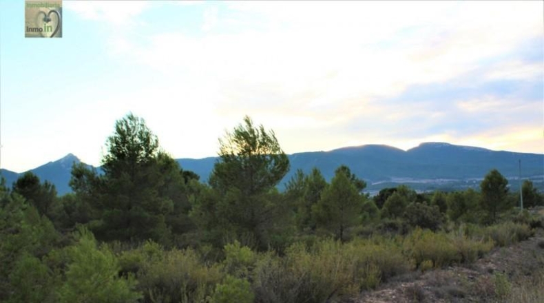 Alicante - Tibi - 70000m2