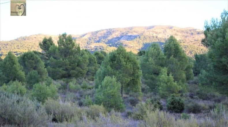 Alicante - Tibi - 70000m2