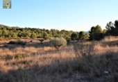 Xalet independent amb terreny en venda a la España, Tibi, ref.: TR137418 foto