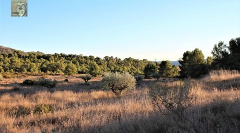 Alicante - Tibi - 70000m2