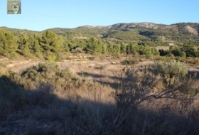 Foto 15