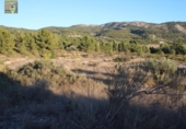 Xalet independent amb terreny en venda a la España, Tibi, ref.: TR137418 foto