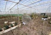 Xalet independent amb terreny en venda a la España, Granadilla de Abona, ref.: TR138492 foto
