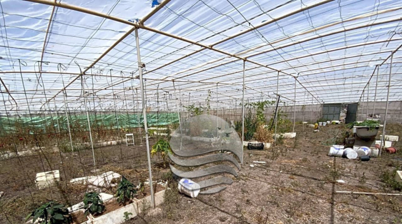 Santa Cruz de Tenerife - Granadilla de Abona - 7000m2