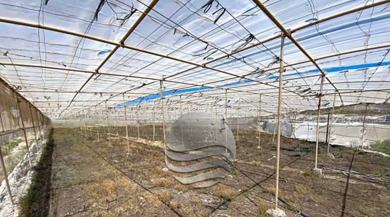 Santa Cruz de Tenerife - Granadilla de Abona - 7000m2