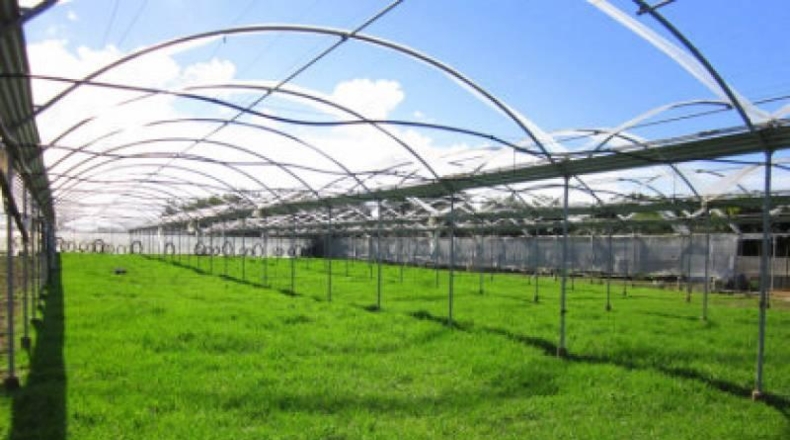 Cádiz - Chipiona - 4000m2