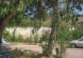 Chalet independiente con terreno en venta en la España, Novelda, ref: TR146023 foto