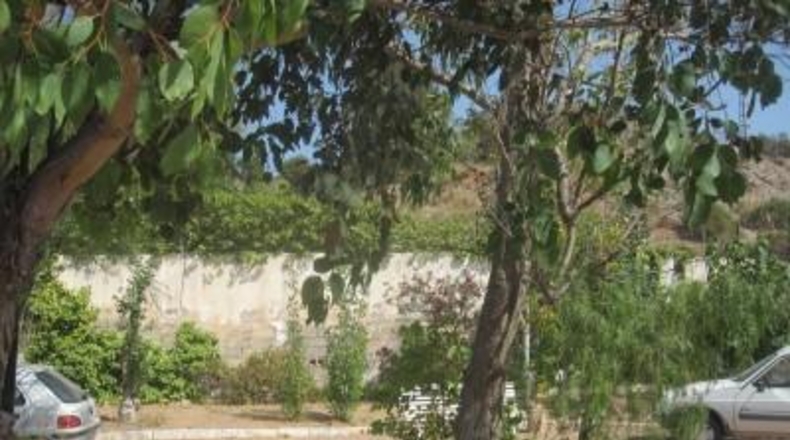 Alicante - Novelda - 2000m2