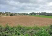 Parcela urbanizable en venta en la España, Sineu, ref: TR378267 foto