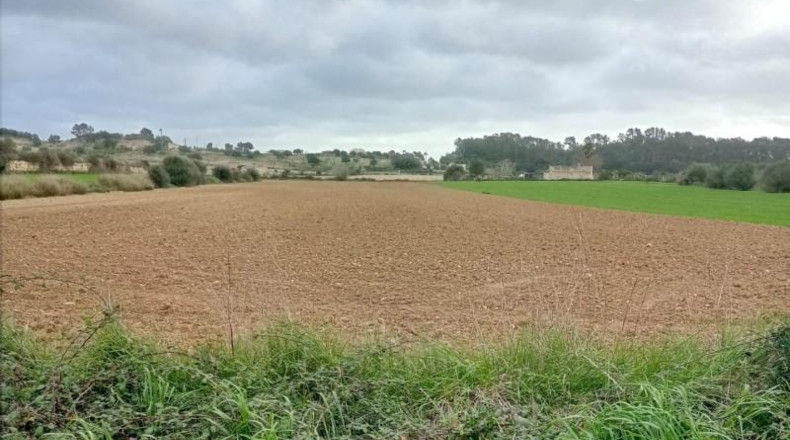 Islas Baleares - Sineu - 18000m2