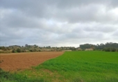 Parcela urbanizable en venta en la España, Sineu, ref: TR378267 foto
