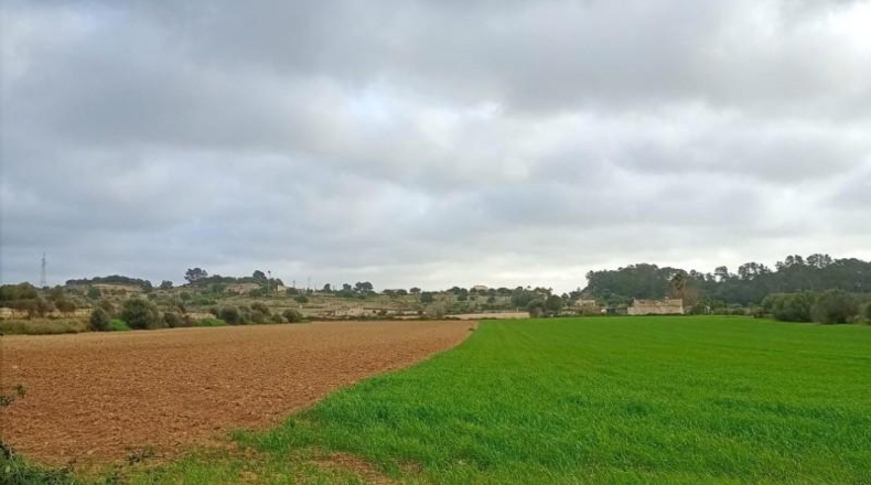 Islas Baleares - Sineu - 18000m2