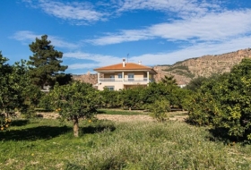 Alhama de Murcia 13102&nbsp;m²