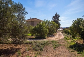 Alhama de Murcia 13102&nbsp;m²
