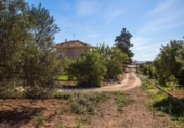 Отдельно стоящий дом с участком на продажу в городе Alhama de Murcia Фото