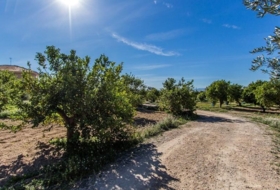 Alhama de Murcia 13102&nbsp;m²