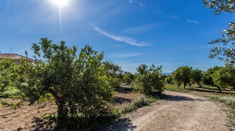 Múrcia - Alhama de Murcia - 13102m2