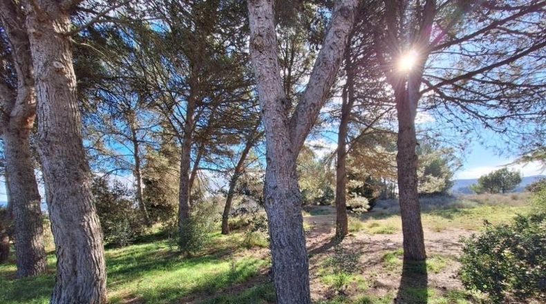 Barcelona - Igualada - 3410m2