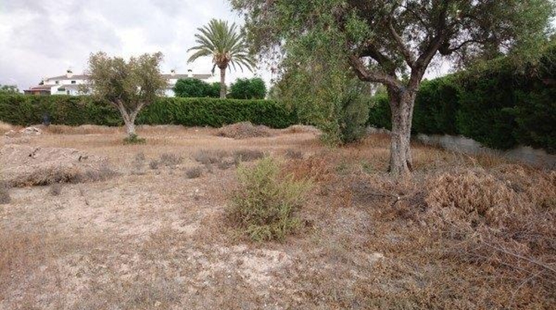 Alicante - Campello - 2000m2