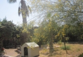 Chalet independiente con terreno en venta en la España, Novelda, ref: TR146023 foto