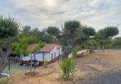 Country house with land for sale on España, l'Ampolla, ref: TR146846 photo