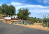 Country house with land for sale on España, l'Ampolla, ref: TR146846 photo