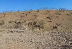 Puerto Lumbreras 464&nbsp;m²
