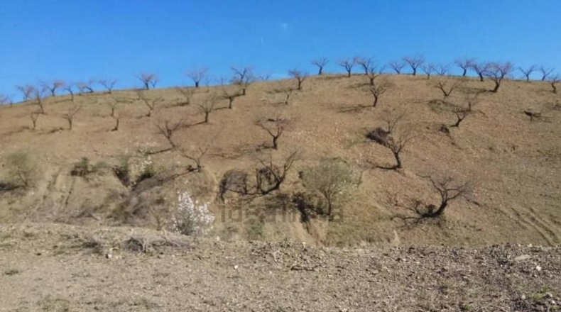 Murcia - Puerto Lumbreras - 464m2