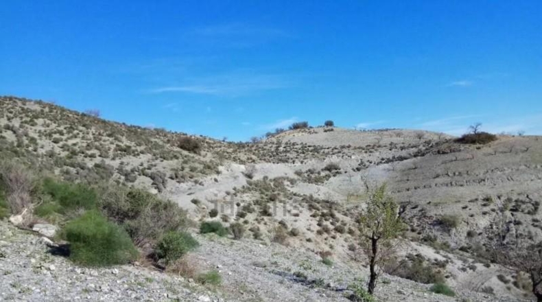 Murcia - Puerto Lumbreras - 464m2